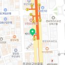 부산강아지분양 고양이분양 베스트펫 본점 이미지