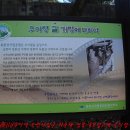 육모정