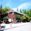 원곡고교길 이미지