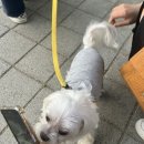 밍약국 이미지