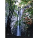 천일농장 이미지