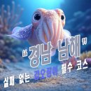 신전리해수욕장 | 경남 남해 도보 워킹 루어 에깅 갑오징어 낚시 잘잡히는 추천 포인트