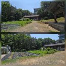 금정사 - 청주시 상당구 상당로 105-2 | 금정사