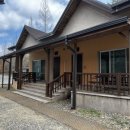 다래와 잣나무 | 전자휴 장령산 자연휴양림