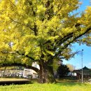 은행2리 마을회관 이미지