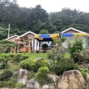 아름애견 이미지