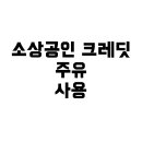 운수주유소 | 소상공인 부담경감 크레딧, 주유에 정말 쓸 수 있나요? 실제 사용 방법 총정리