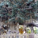 리버레일 이미지