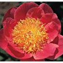 감포3리 이미지