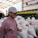 광야농장 이미지