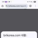 데일리 브평 추천 + 리포트 이미지