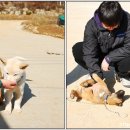 현암농장 이미지