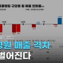 야생동물의료센터 이미지