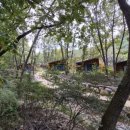 숲속의 집 이미지