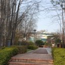 14단지횡단보도 이미지