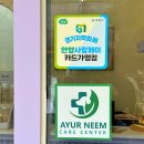 댕며들개 이미지