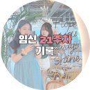 NR-6[경강로]-하-135 | [주간일기] 6월 (4)