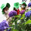 함평자연생태공원 이미지