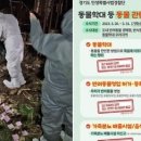 사체농장 이미지