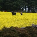 구엄올레 이미지