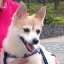 국민은행 앞 이미지