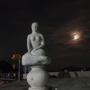 설리어촌체험마을 이미지