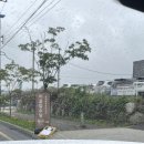 무료급식마당 이웃집 | 대구근교 경산 아이랑 가볼만한곳 이웃집수달 내돈내산 솔직후기