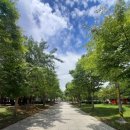 일곡 제1근린공원 이미지