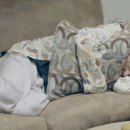 부시시 이미지