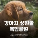 암사동물병원 이미지