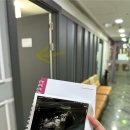 대구 더블유여성병원 제왕절개 5박6일 자세한 후기 (w.자궁내막증)