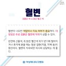 메디파크 이미지