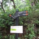 화개송이민박 이미지