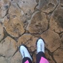 코뿔소한의원 | 비오는 날 에버랜드 다녀온 후기 (24.5.6) 비오는날 꿀팁/에버랜드맛집 / 비해피쿠폰