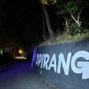 빛(꽃)의정원 | 통영 빛의 정원, 디피랑 다녀온 후기