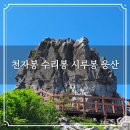 비음산 구름다리입구 | 창원 진해구 천자봉 수리봉 시루봉 웅산 연계산행 진해만 생태숲 등산코스