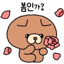 큐니바니