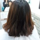 사파동266 이미지