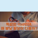 내추럴바디짐 티스토리