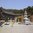 만다래 | 미타사, 또 다른 생명의 태동을 보다