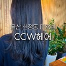 킴스애견미용실 | 울산 신정동 미용실 CCW헤어 남구 레이어드 c컬펌 레이어드컷 복구펌 전문