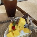 카페베리 | 제철 과일 타르트가 맛있는 해운대 디저트카페 보노베리 추천 후기