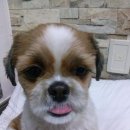 멍이네 네이버블로그