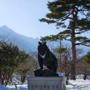 힐링카정비 | [강원도 여행] 설악산 국립공원 설악케이블카 후기 - 겨울 여행 추천