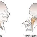 연산해수피아 이미지