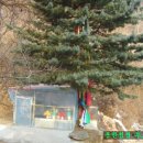 월문6리 Daum카페