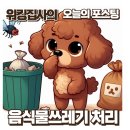 남자의삼신기 | 여름 초파리 생기는 음식물 쓰레기 처리 어떻게? 미생물 처리기 3년 써본 후기