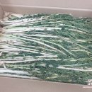 숙이네 식품 이미지