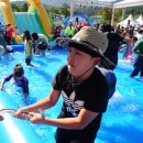 고창 수산물 축제