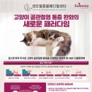 전북동물의료센터 | 전북 최초! 고양이 고관절 치료제 솔렌시아가 센트럴동물의료센터에 입고 되었습니다.